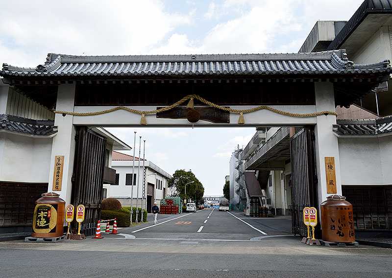 雲海酒造株式会社