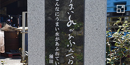 こんこんと湧く名水が醸す