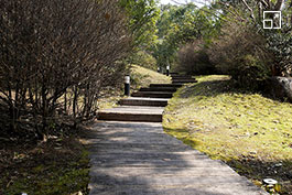 尾鈴山の中で